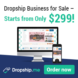 Get a Beautiful Dropshipping Store Made Just for You